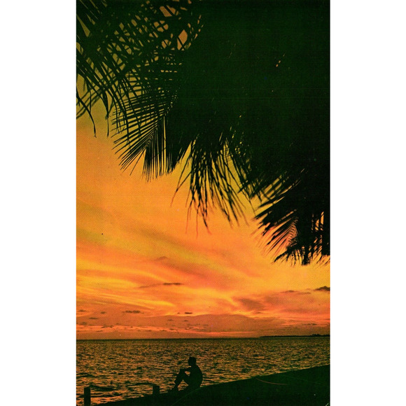 Other - Postcard Florida sunsets make a breathtaking sight